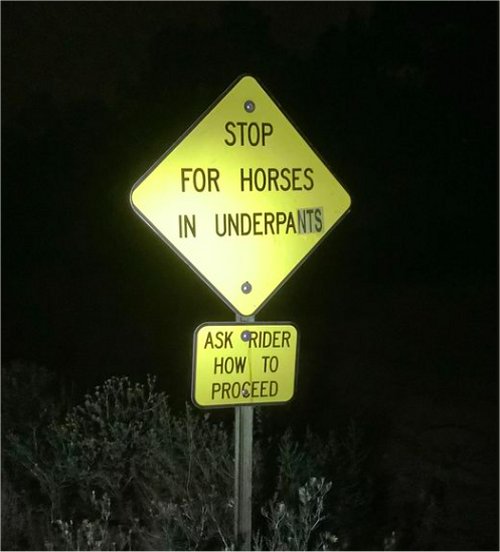 18650_horses%20majorgeeks.jpg