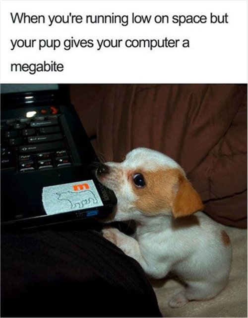 10361_megabite.jpg