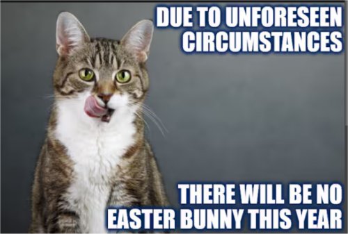 19352_caturday%20majorgeeks.jpg