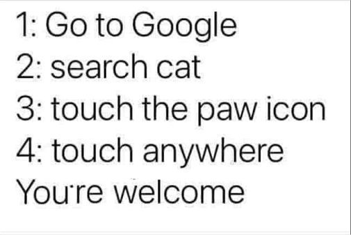 19967_caturday%20caturday%20majorgeeks.jpg