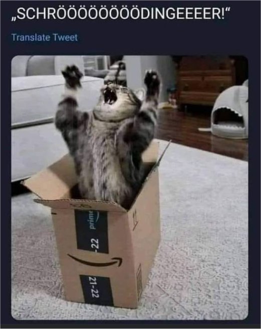 19571_wrath%20of%20%20caturday%20majorgeeks.jpg