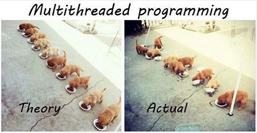 10089_programming.jpg