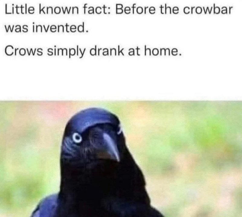 21046_crow-bar.jpg