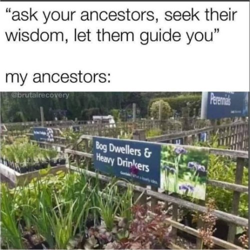18363_ask%20your%20ancestors%20majorgeeks.jpg