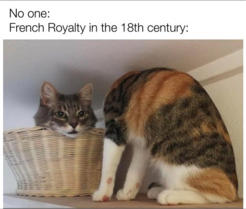 19529_18th%20century%20french%20caturdaymajorgeeks.jpg