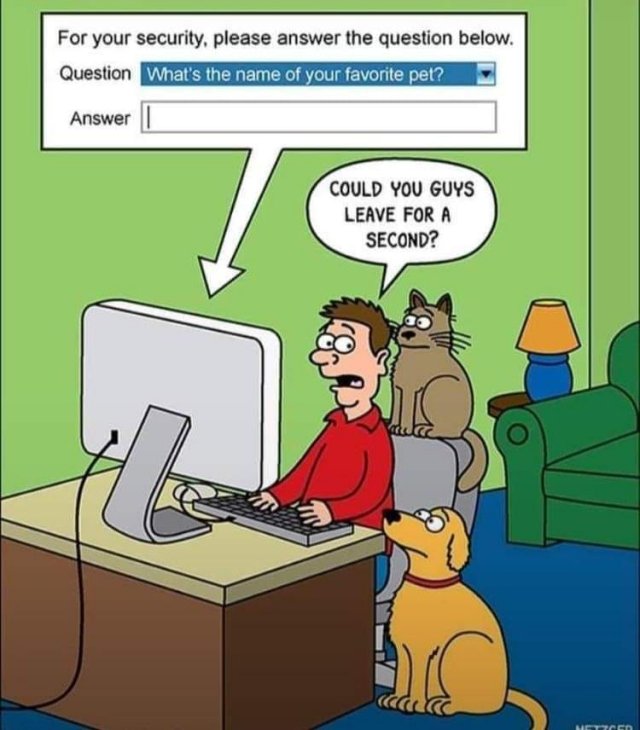 15913_random%20photo%20password%20recovery%20majorgeeks.jpg
