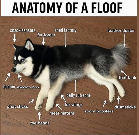 21119_floof%20majorgeeks.jpg