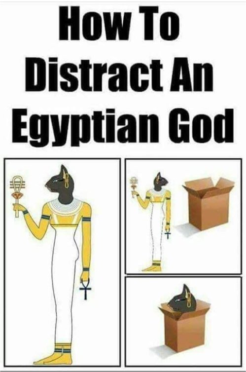 14374_!%20a%20!%20egypt%20caturday%20majorgeeks.jpg