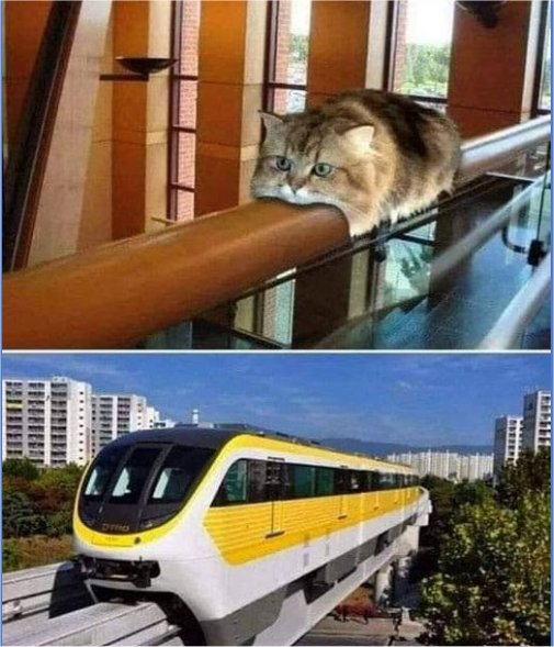 20014_meow%20no%20rail%20majorgeeks.jpg