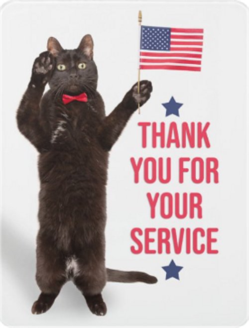18863_thank%20you%20caturday%20majorgeeks.jpg