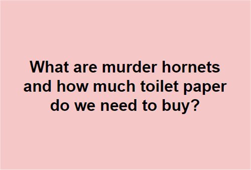 14178_murder%20hornet%20majorgeeks.jpg