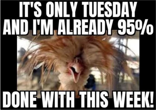 18721_tuesday%20only%20majorgeeks.jpg