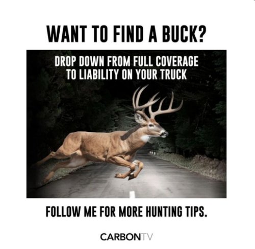 18743_buck%20majorgeeks.jpg