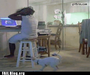 10250_ruff.gif