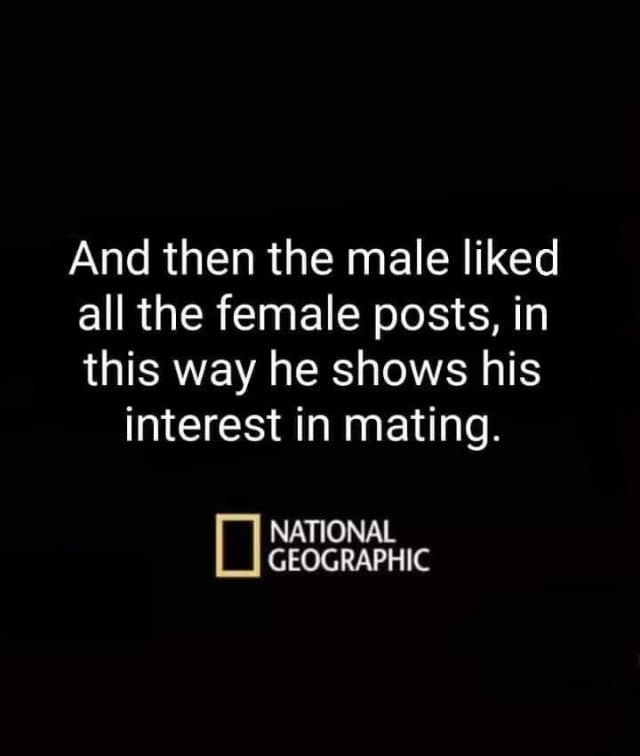 16568_random%20photo%20social%20mating%20majorgeeks.jpg