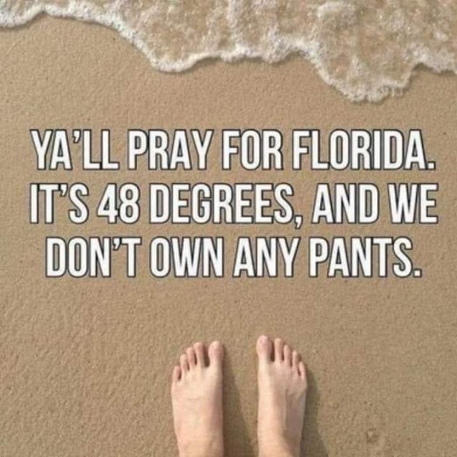 13715_pantless.jpg