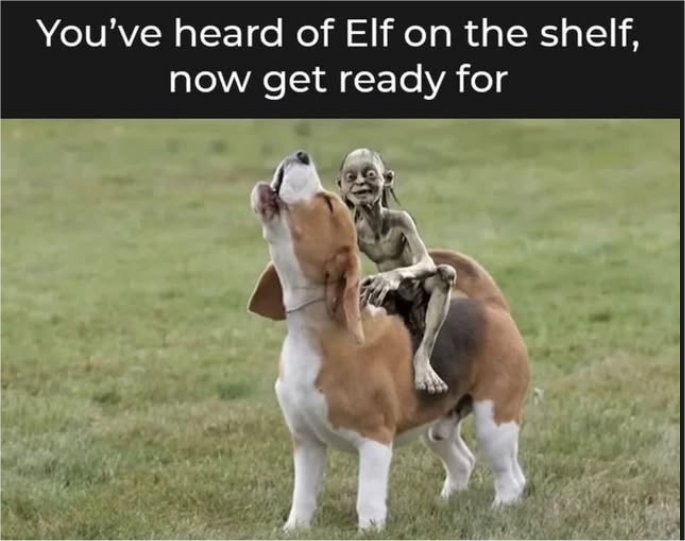 20264_shelf%20elf%20majorgeeks.jpg
