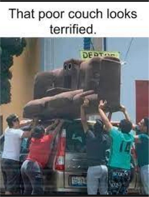 18858_terrified%20majorgeeks.jpg
