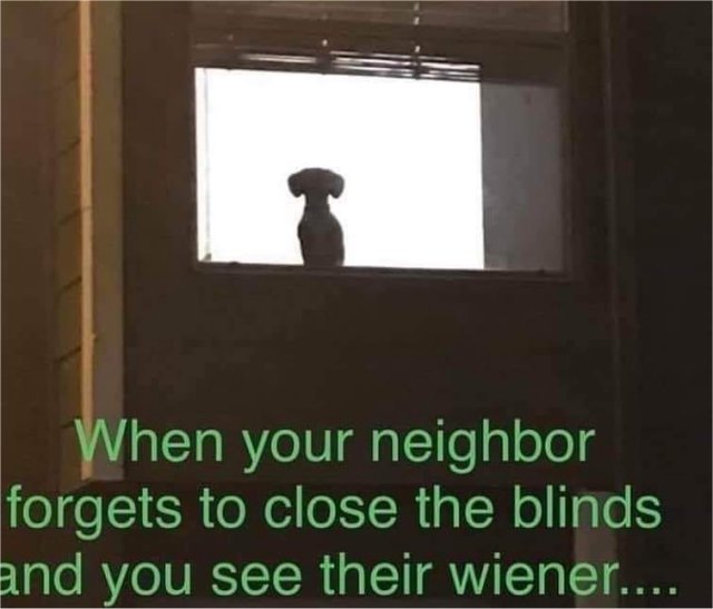 16793_neighbors%20blinds%20majorgeeks.jpg