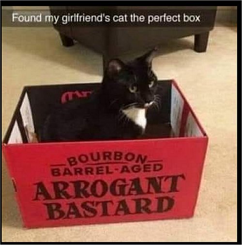 16806_perfect%20box%20for%20caturday%20majorgeeks.jpg
