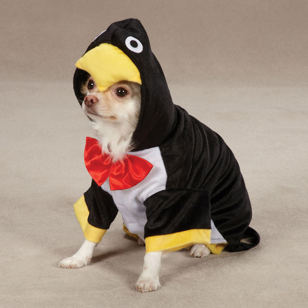 penguin-pup-dog-halloween-costume-1.jpg