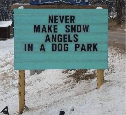 12170_dog%20park%20only%20once%20majorgeeks.jpg