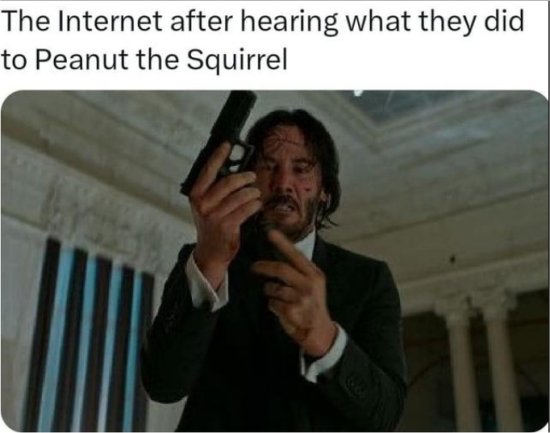20112_peanut%20majorgeeks.jpg