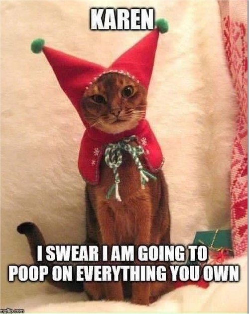 18997_karens%20caturday%20elf%20majorgeeks.jpg