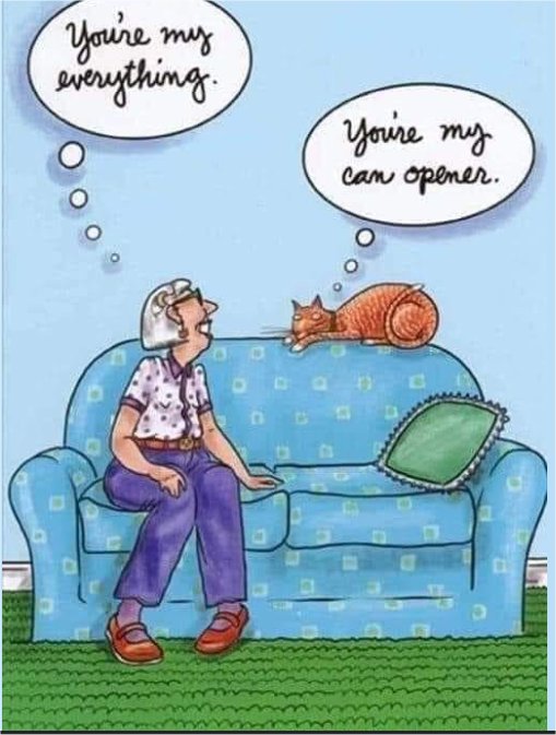 16380_my%20everything%20catuday%20majorgeeks.jpg