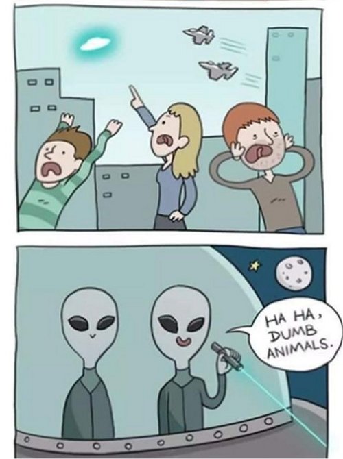18276_dumb%20animals%20majorgeeks2.jpg