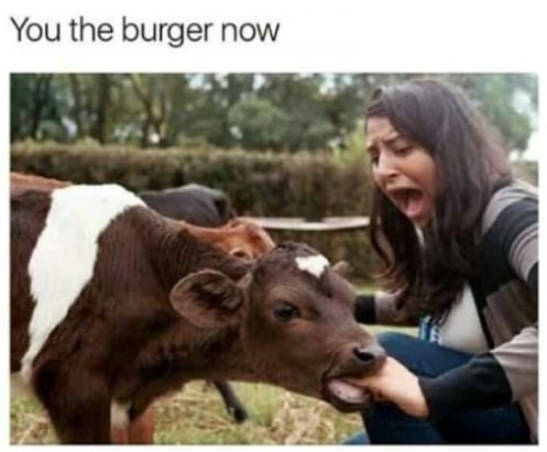 13920_the%20burger%20majorgeeks.jpg