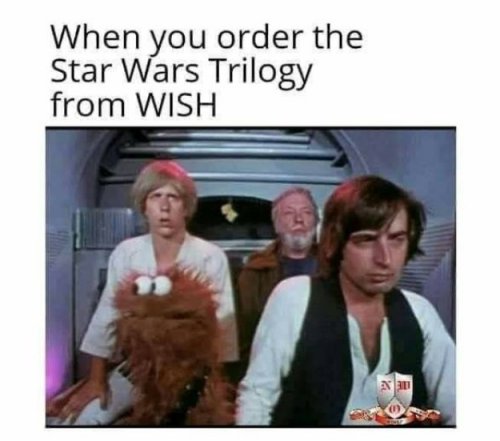 14902_wish%20wars%20%20majorgeeks.jpg