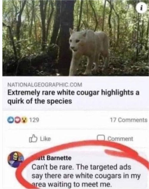 17968_rare%20white%20cougar%20%20majorgeeks.jpg