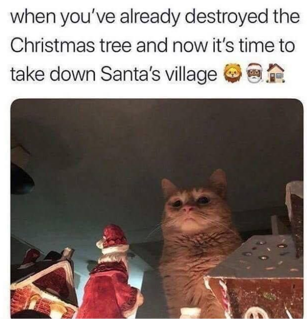 17715_xmas9.png