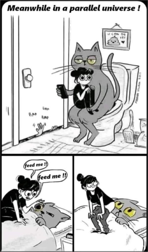 16334_parallel%20%20caturday%20universe%20majorgeeks.jpg