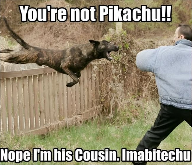 20958_not%20pikachu%20majorgeeks.jpg