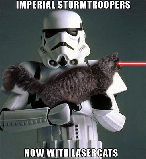 19499_may%204%20caturday%20majorgeeks5.jpg