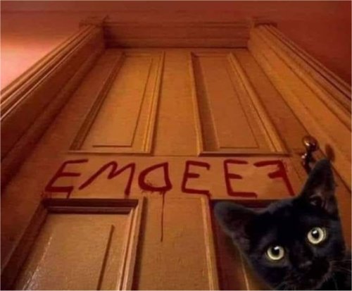 18803_emdeef%20%20caturday%20majorgeeks.jpg