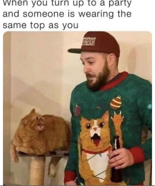 18976_xmas%20sweater%20caturday%20majorgeeks.jpg