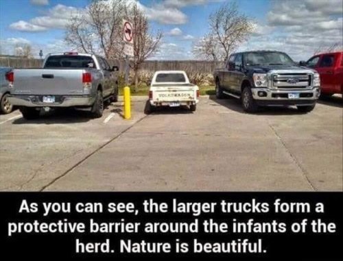 18266_nature%20is%20beautiful%20majorgeeks.jpg