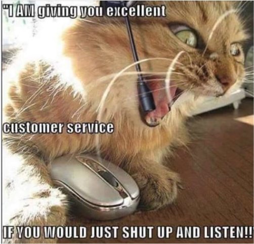 12710_a1%20csr%20caturday%20majorgeeks.jpg