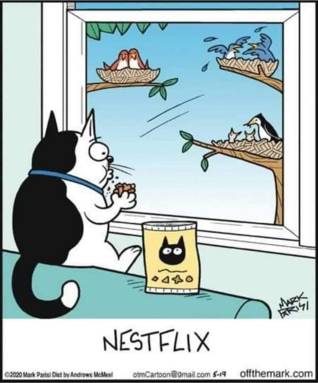 14405_caturday%20626%202%20majorgeeks.jpg