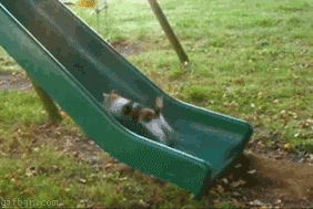112520120301191.gif