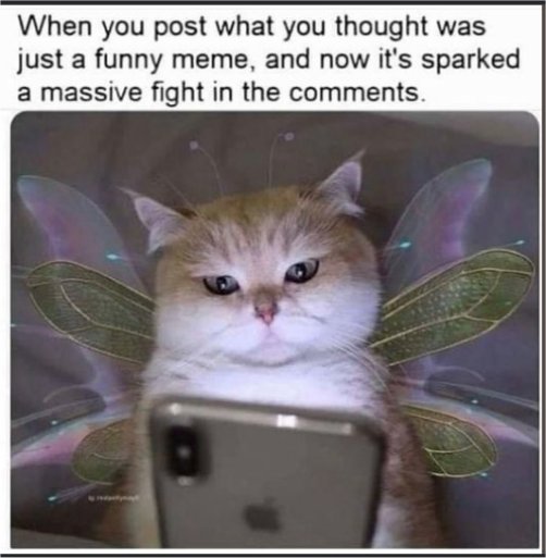 19056_just%20a%20caturday%20meme.jpg