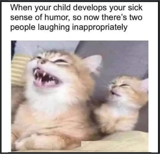 20376_sick%20sense%20of%20caturday%20humor%20majorgeeks.jpg