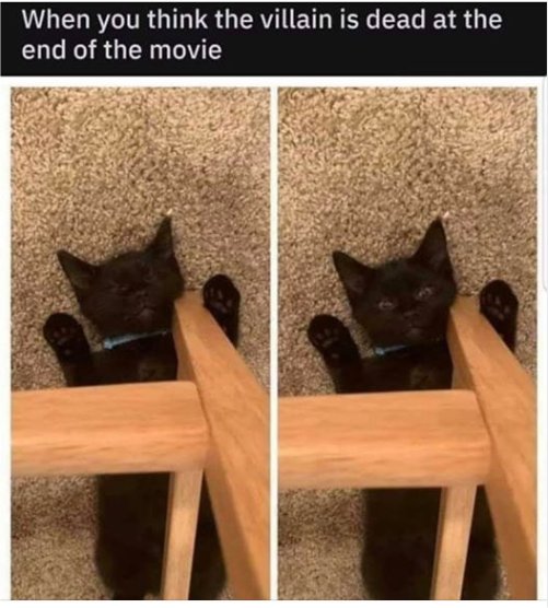 14167_caturday%20villain%20majorgeeks.jpg