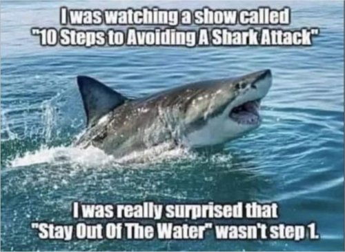 18560_sharks%20majorgeeks.jpg