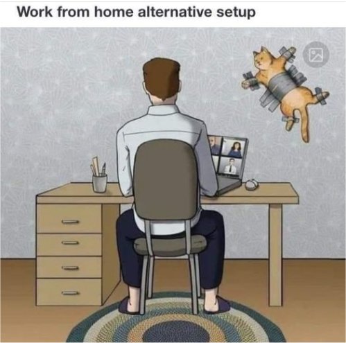 14688_caturday%20work%20from%20home%20majorgeeks.jpg
