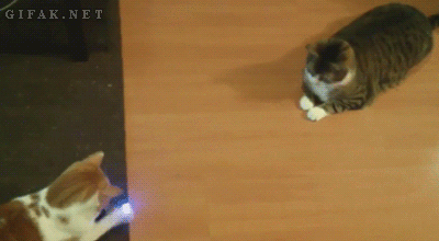 tumblr_msx5e9E5fE1sodo64o1_400.gif