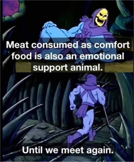19883_meet%20meat%20majorgeeks.jpg